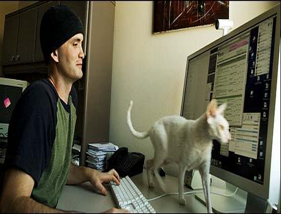 Shawn-Hogan.png