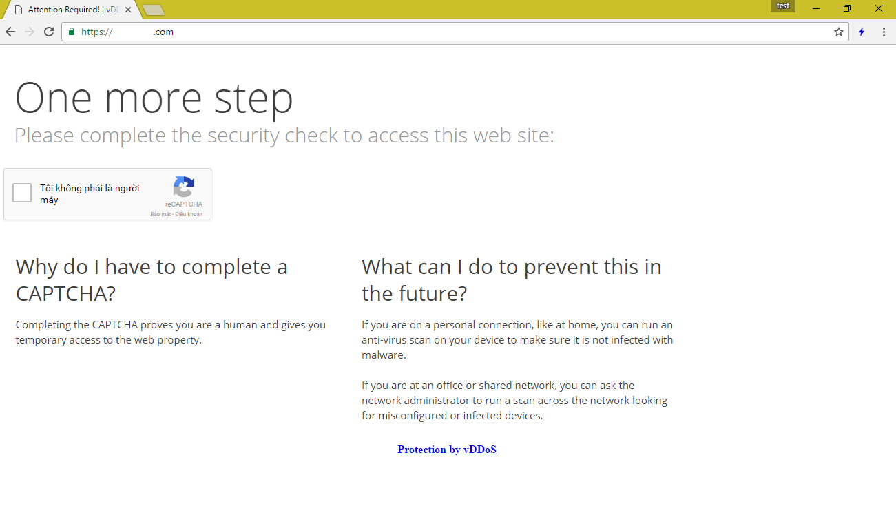vDDoS-Protection%20%281%29.png