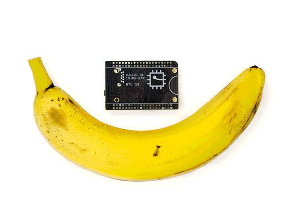 chip-1.jpg