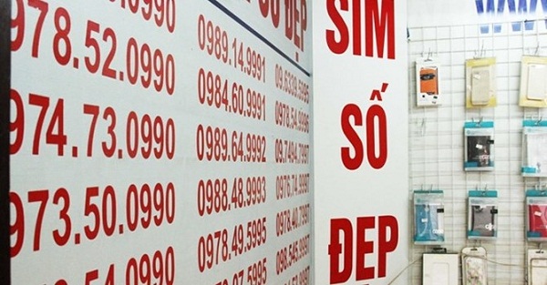 sim_600x313.jpg