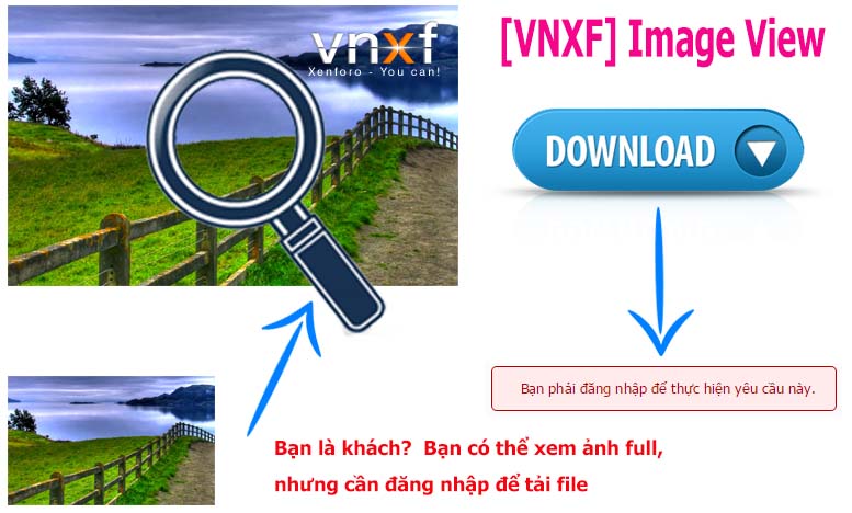vnxf.vn